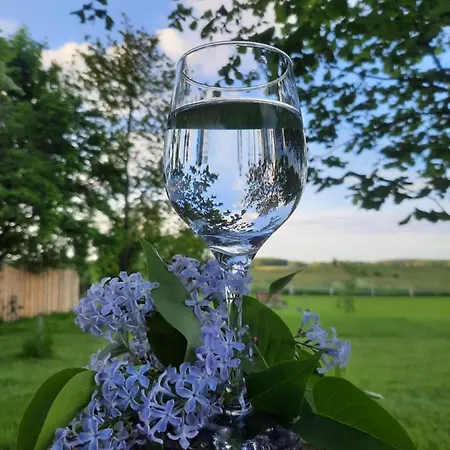 Mazurska łąka * Piecki (Warmian-Masurian)