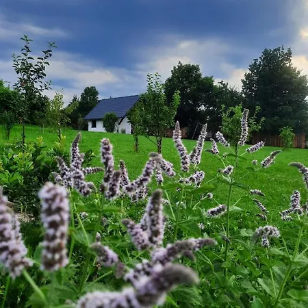 Villa Mazurska Laka Piecki (Warmian-Masurian)
