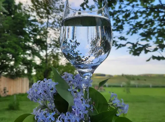 Mazurska łąka * Piecki (Warmian-Masurian)