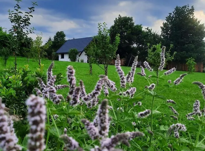 Willa Mazurska łąka Piecki (Warmian-Masurian)