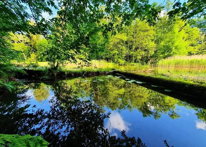 Willa Mazurska łąka