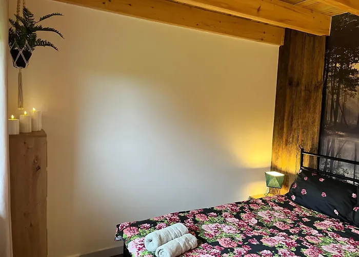 Mazurska łąka Piecki (Warmian-Masurian)