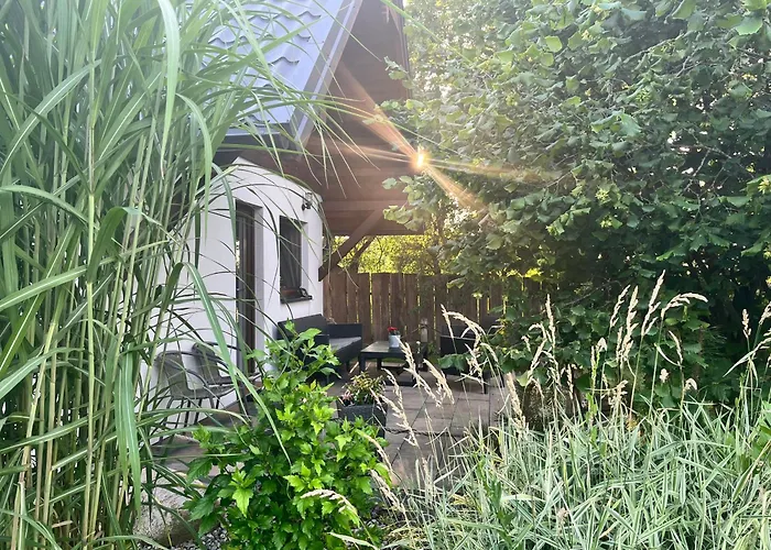 Mazurska łąka * Piecki (Warmian-Masurian)